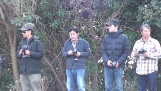 川崎フェニックス20170226 beetle B ラジコンカー レース