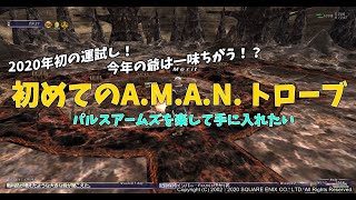 【FF11】初めてのA M A N  トローブ！パルスアームズが欲しい！！