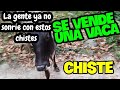 Chiste de la vaca flaca | como vender/ESTRATEGIAS