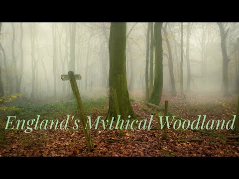 England's Mythical Woodland