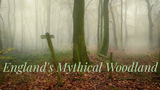 Englands Mythical Woodland