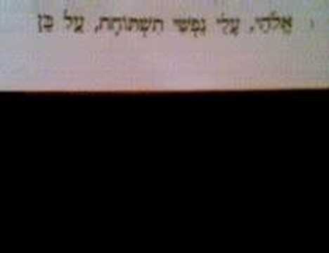 Tehilim Jewish Prayer Mim Bet 42