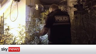 £2.5m cannabis farm uncovered in abandoned pub during police raids