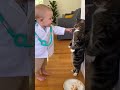 Baby Doctor Explains Something to His Cat 👶🩺🐱 | Adorable Checkup Moment!
