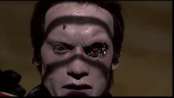 VCR TV Terminator