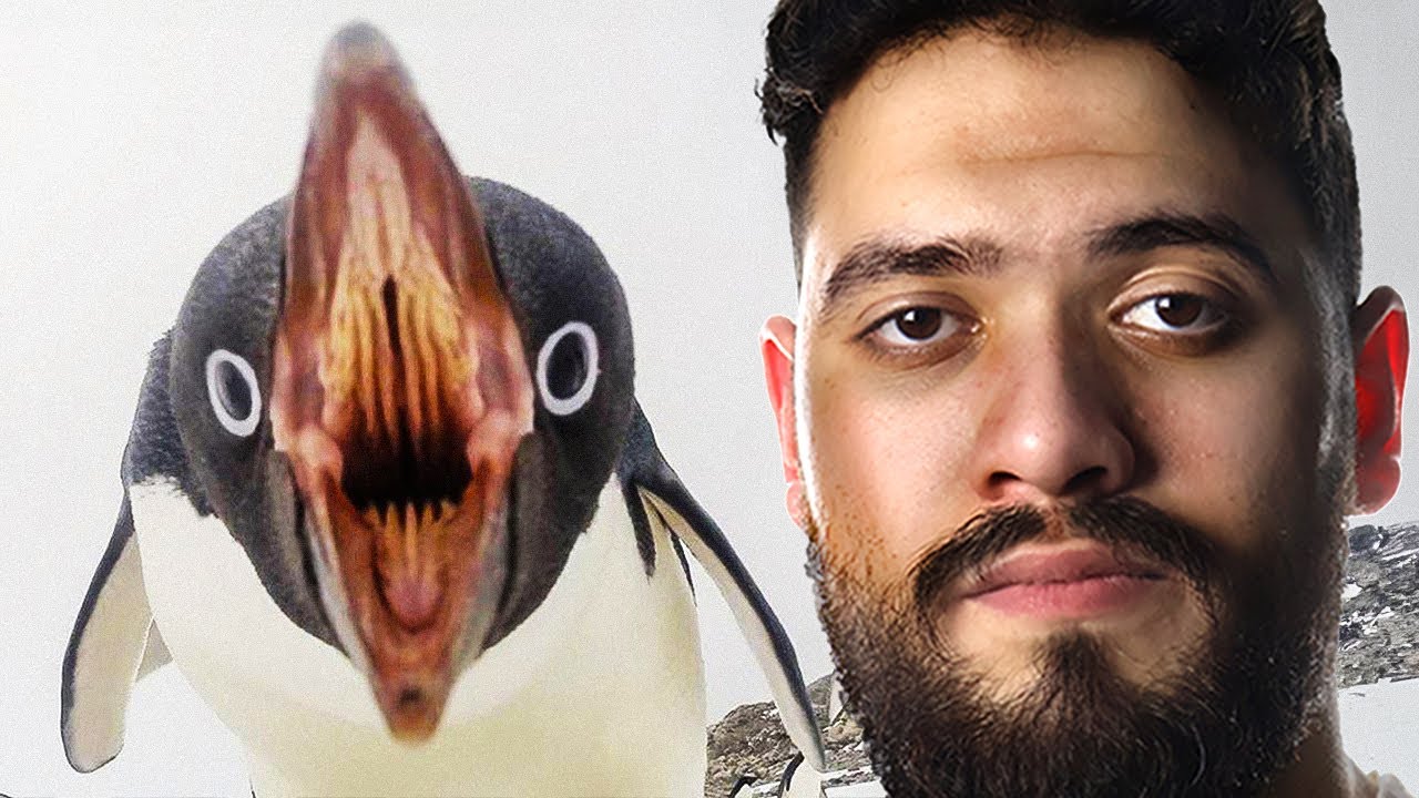 أنا كنت بحب البطاريق لحد ما عرفت الحقيقة دي!