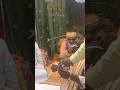 Zarb e rafaiya #ursmubarak #dargha #ytshorts #yt #like #shorts #islam #sunni #sufism #trend #peer