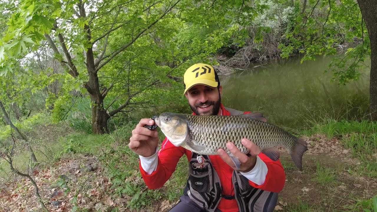 Harika Derelerde At-Çek Kefal Avı / Kasna Avı