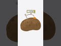 Generate Electricity with a Potato!#shorts