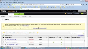 Domain Set Up setting the name servers