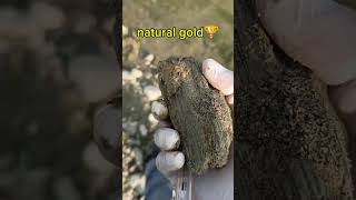 We got natural gold stone while digging of earth🌎 #stones #metaldetecting #americandiamindstone #gem We got natural gold stone while digging of earth🌎 #stones #metaldetecting #americandiamindstone #gem