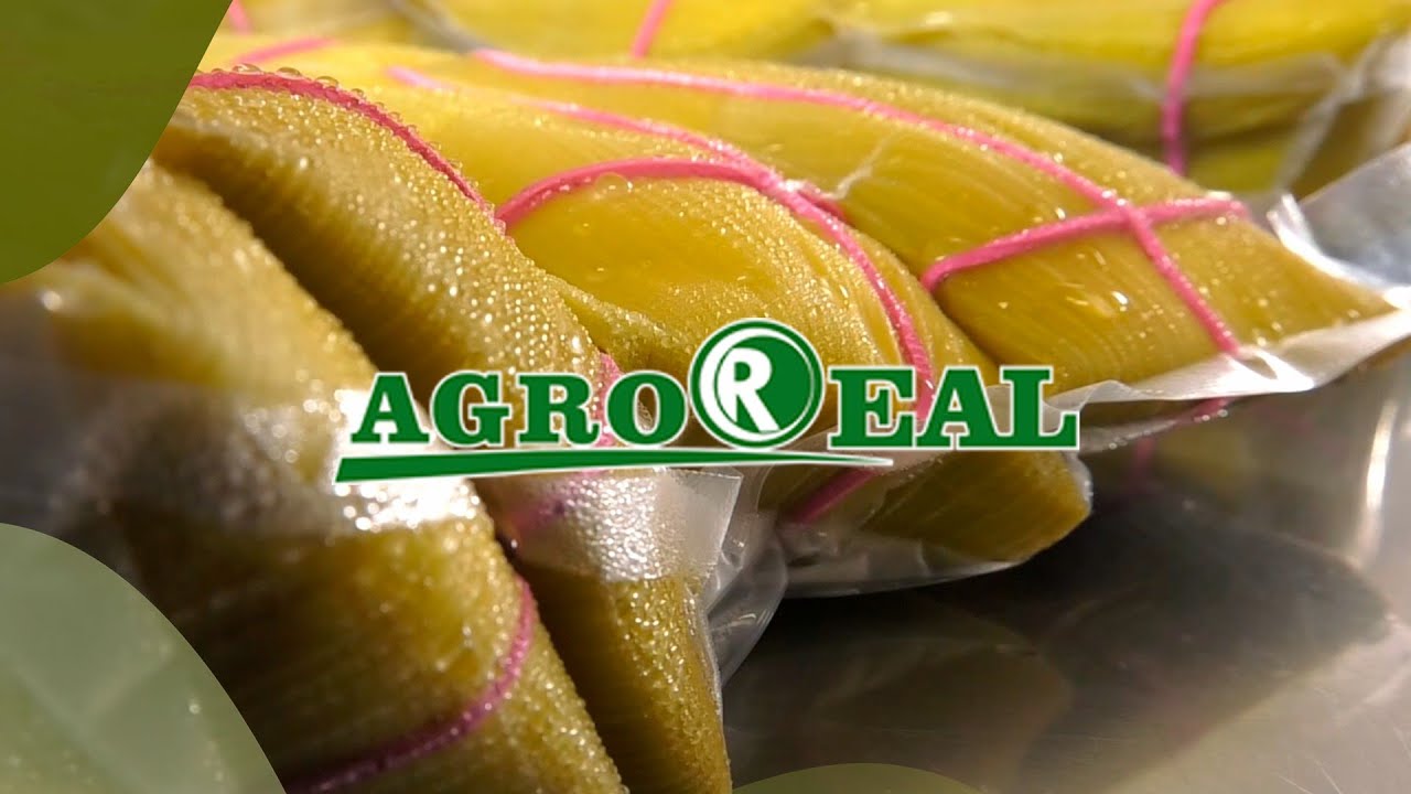 Pamonharia!  Empresa que valorisa agricultura familiar fábrica pamonhas para o estado de MT