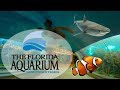 The Florida Aquarium Downtown Tampa