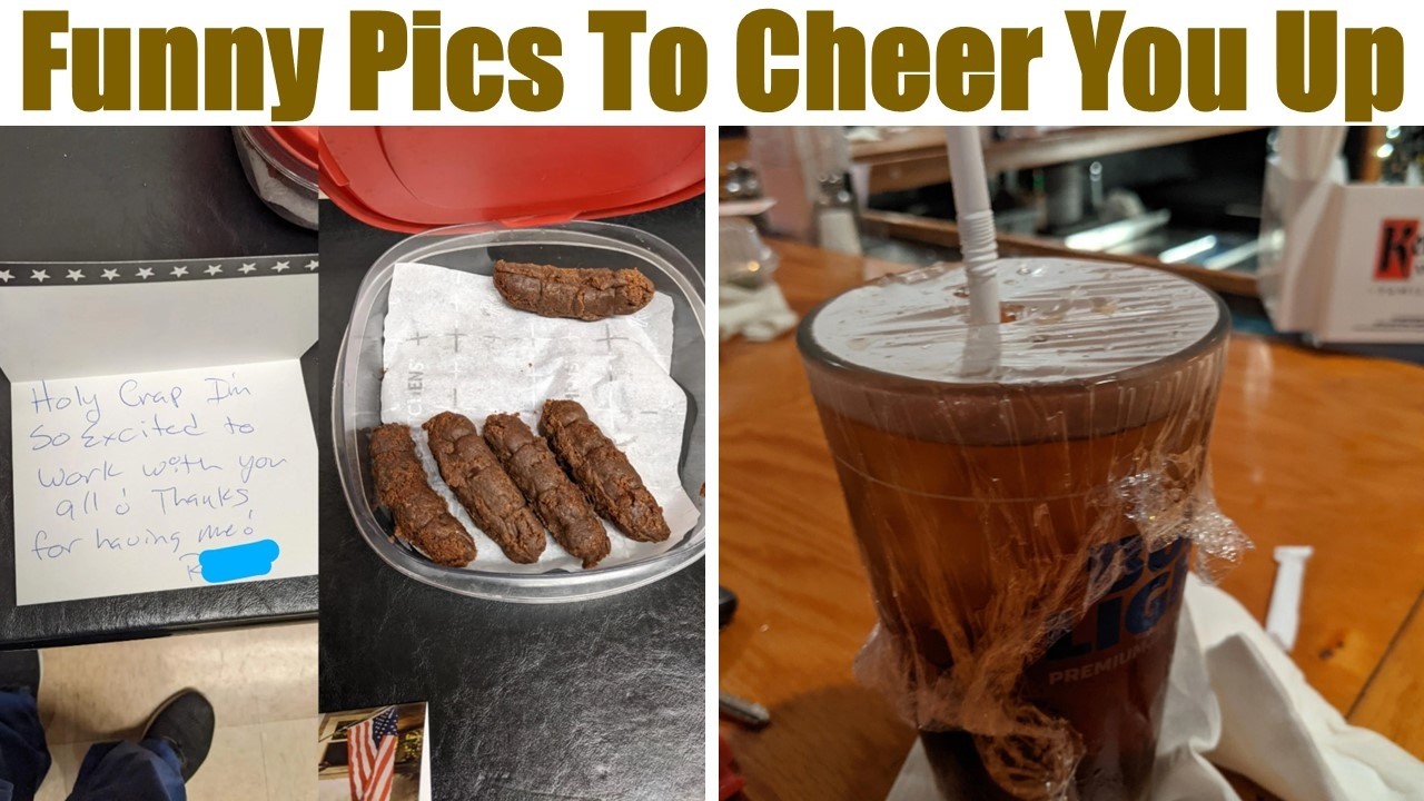 Surviving Monday? Funny Pics To Help You Beat The Monday Blues! - YouTube