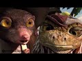 Rango In Bemba Rango In Bemba