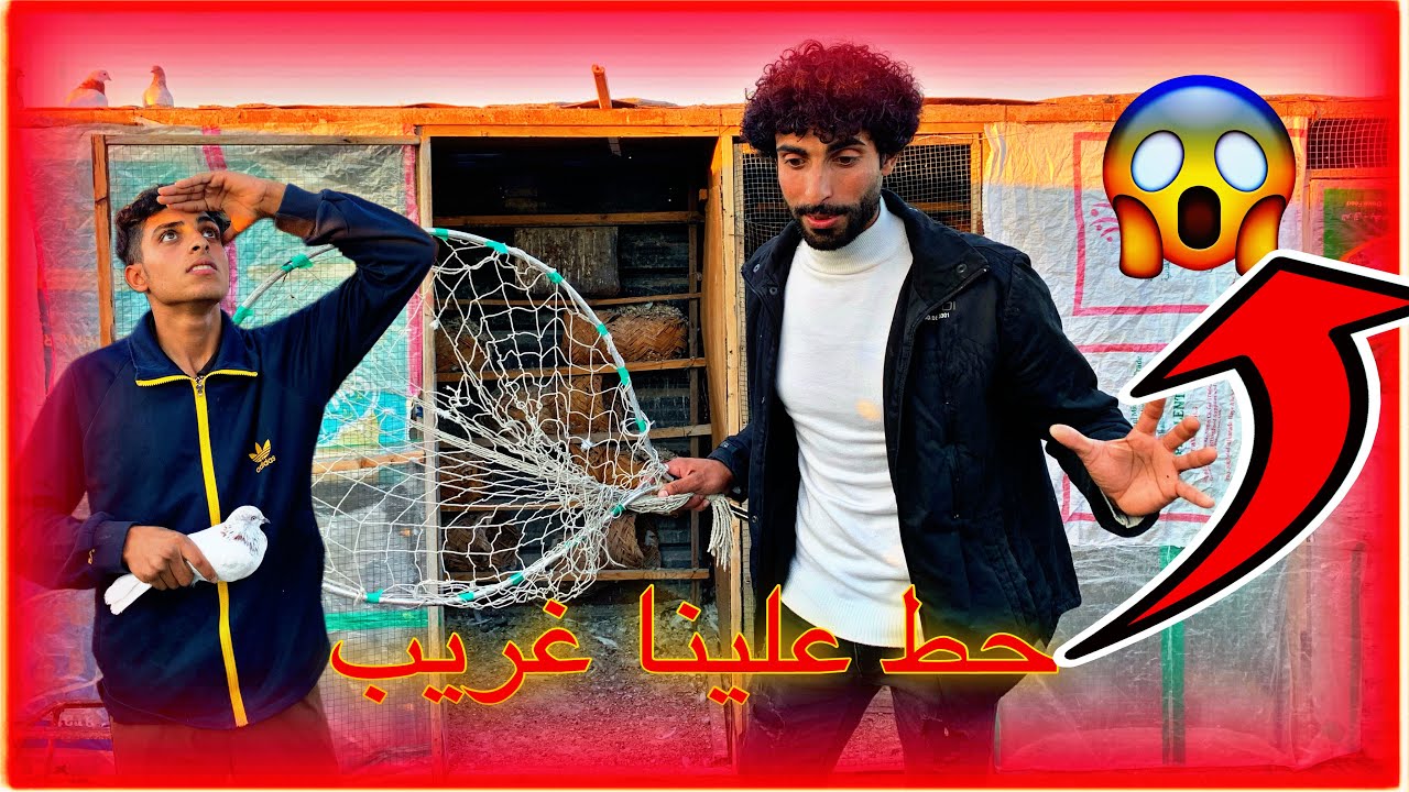 ‏حط علينا قريب ‏طير ‏تار رماني حمودي سكيت2024 ￼￼￼￼￼