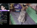 Middle of video