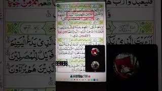 Online Quran parna shekyn #onlinequran #Qurantecher #viralvideo #islamiceducation