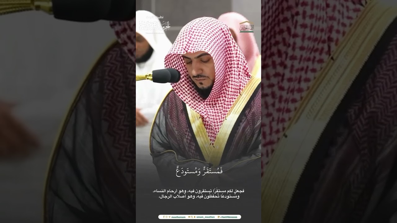 مقتطف من تلاوة الشيخ #الوليدالشمسان من فجرية 5 ربيع الآخر 1446هـ