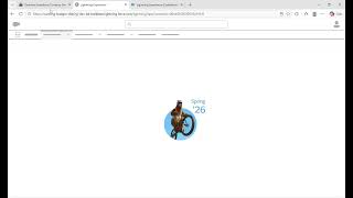 Set Up the Exchange Rate | Salesforce Trailhead Challenge