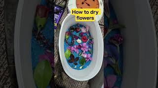 How to dry flower's #artscraft #art #drawing #artistdrawing #flowers