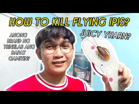 Paano Pumatay Ng Flying Ipis?