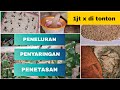 Ternak JANGKRIK terlengkap ||Peneluran hingga Penetasan||