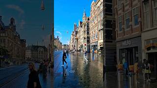 objectifs AMSTERDAM jour 10 EP1 visite d'Amsterdam