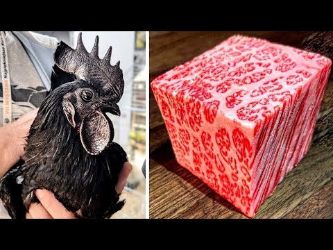 8 أطعمة هي الأغلى حول العالم رقم 7 لا يصدق