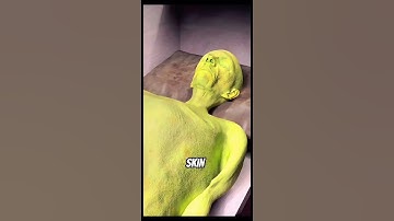 This Is What Happens to Your Body After You Die