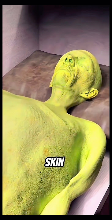 This Is What Happens to Your Body After You Die