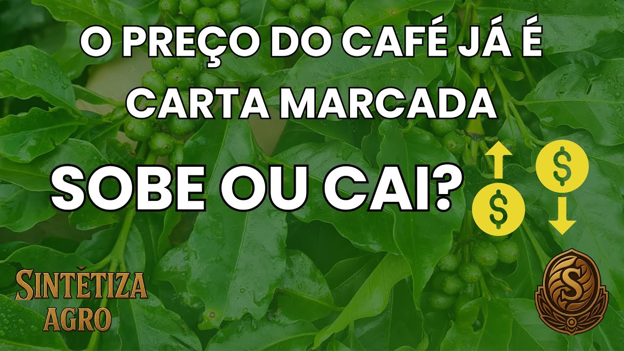 PREÇO DO CAFÉ - QUAL O MOTIVO DA BAIXA DO MERCADO?