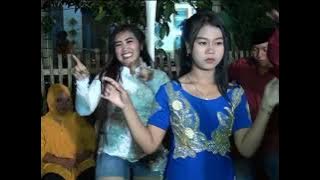 SPECIAL LAGU DJ SINAR BUDAYA KUDA MASUK TEROP MALAM TERBARU