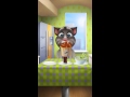 [My Talking Tom] 2 процесс толстеть