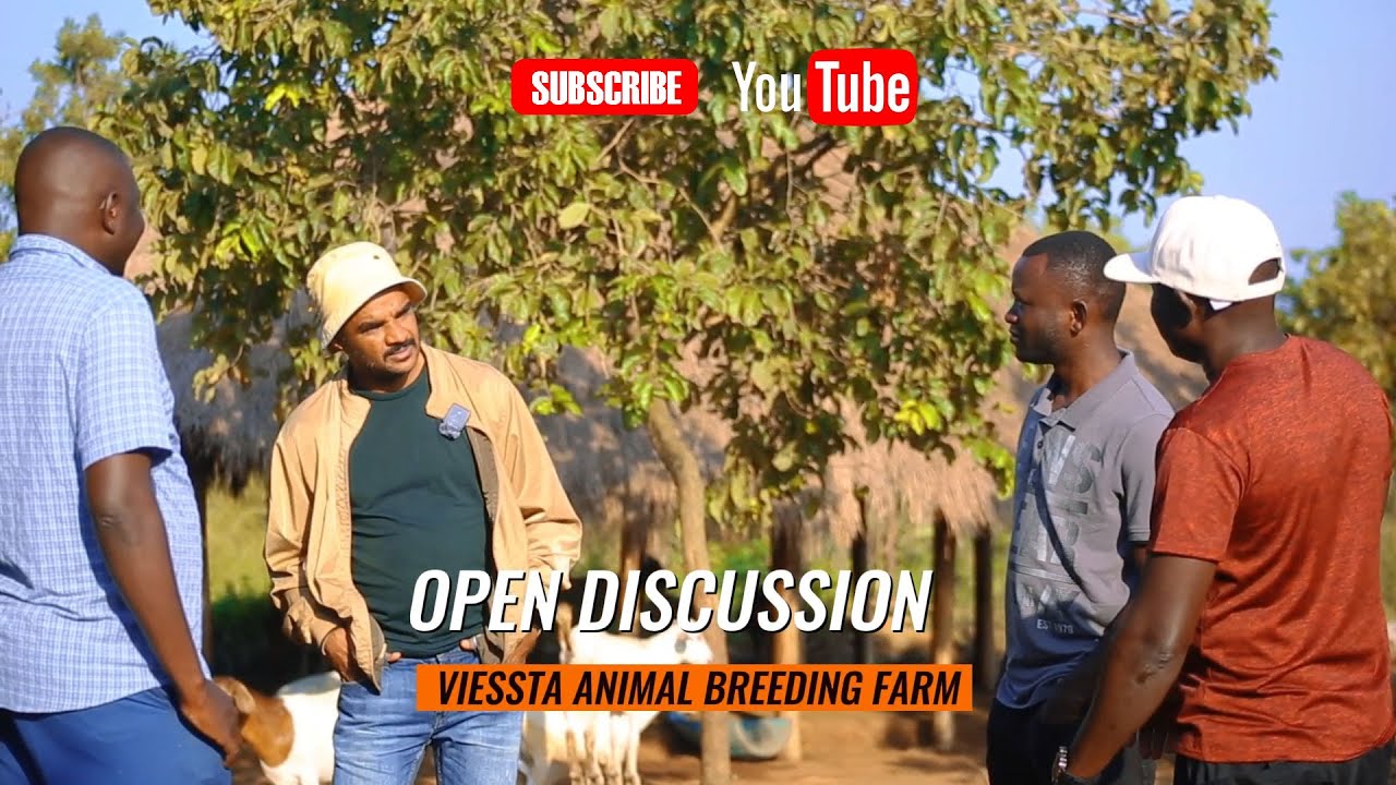 Открытая дискуссия на ферме по разведению животных "Виеста".