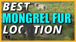 Best MONGREL FUR Locations | Hogwarts Details