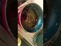 maavi ve #trending #funny #ytviral #bacho #song#ghee #homemade #homemadeghee #shortvideo #yt