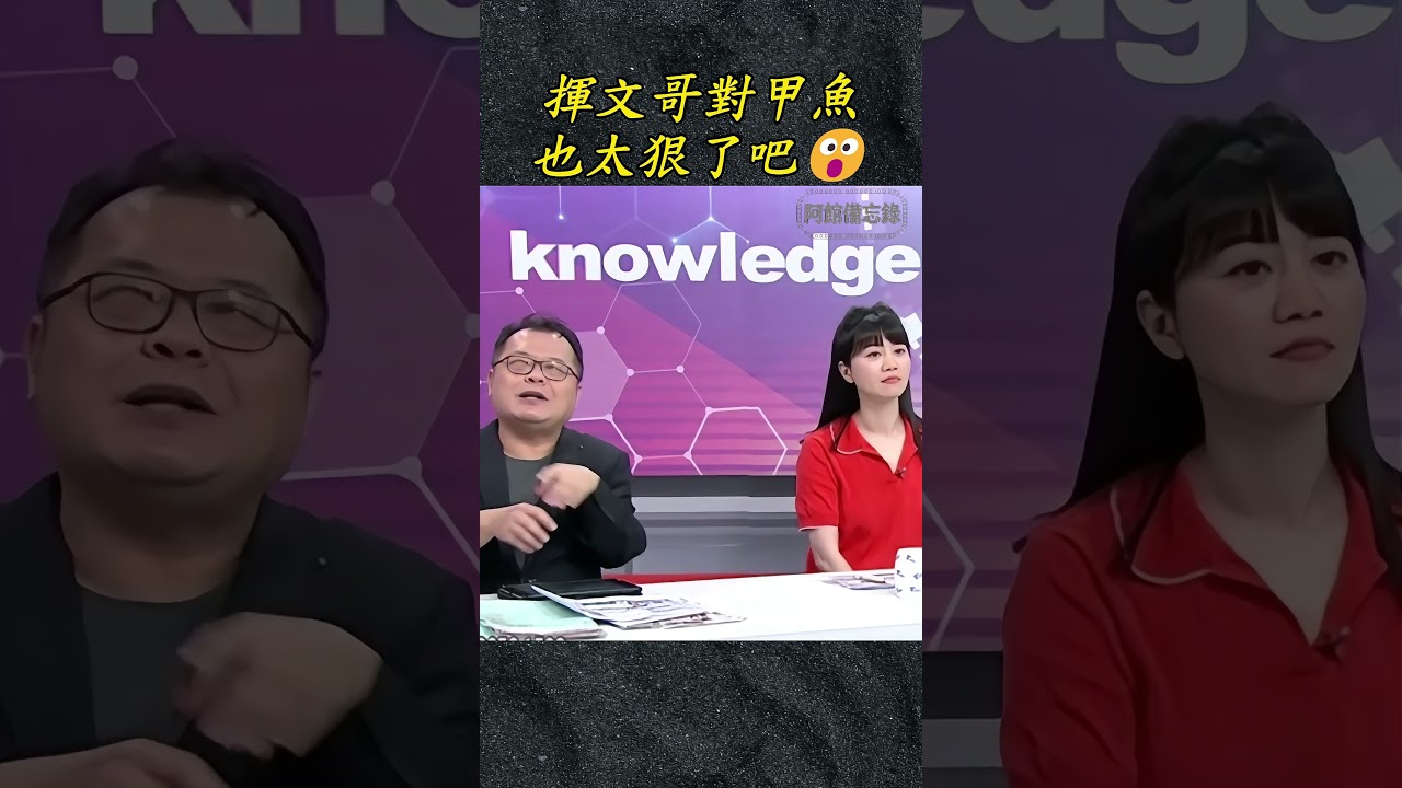 揮文哥是不是應該對甲魚好點，這樣絲毫不留情面，未免狠了點 #陳揮文#高嘉瑜# #民進黨#臺灣選舉 #大熱門