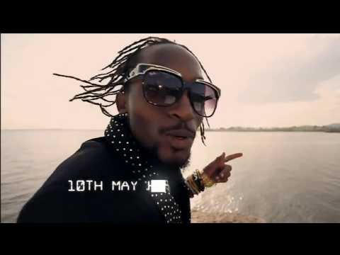 Radio & Weasel
