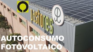 Grupo Pastores, Una De Las Primeras Empresas Con Autoconsumo Fotovoltaico En España