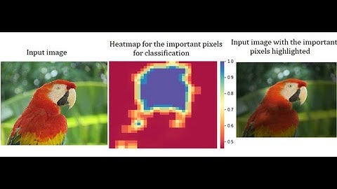 The occlusion experiment | understand pixel-importance in classification | deep learning |  python