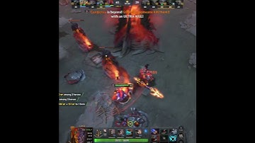 Chaos in the Wild The Lion