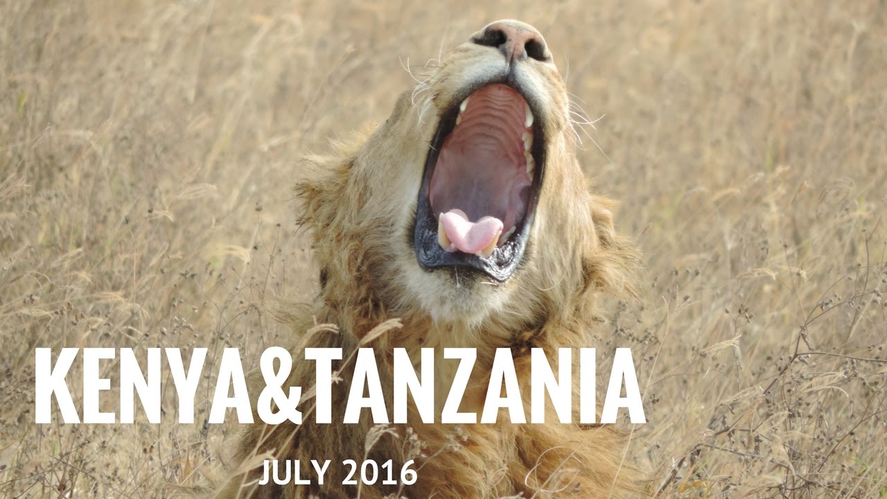 SAFARI KENYA TANZANIA KANANGA JULY 2016 YouTube safari-kenya-tanzania-kananga-july-2016-youtube