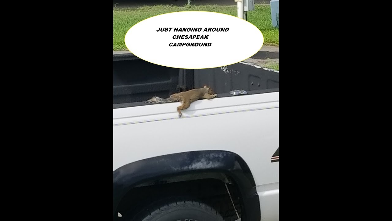 GRAND TOUR CHESAPEAKE CAMPGROUND