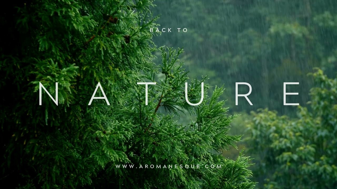 Unlock the power of nature with Aromanesque - Organic & Natural Skincare.