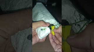 How To Make A Rubber Powered Boat