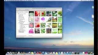 How to Transfer Music, Movie, Photo,Playlist and more from iPod/iPad/iPhone to Mac OX? screenshot 4