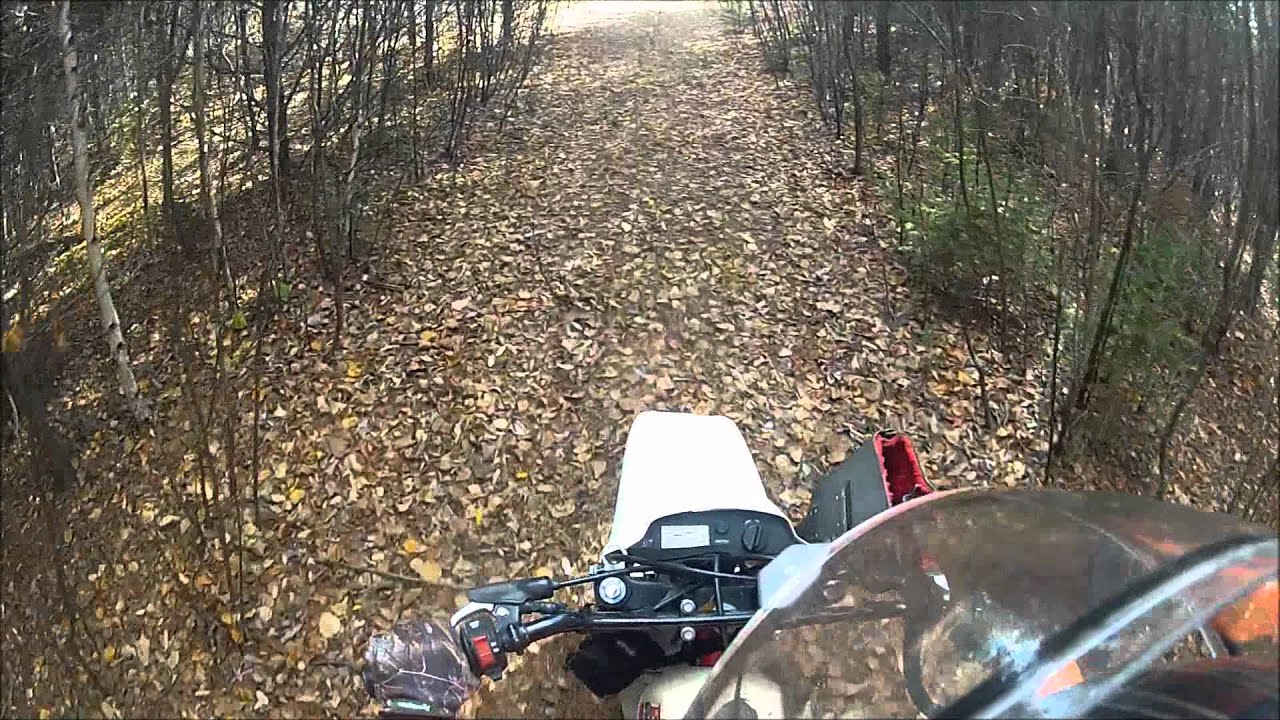 GoPro Hunting Partridge - YouTube