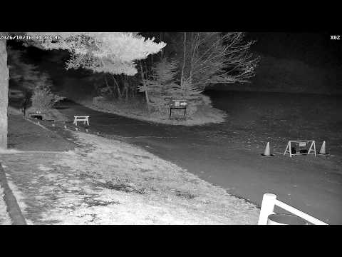Paul Rusch Street live cam preview