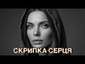 Скрипка серця скрипкасерця українськапісня новапісня 